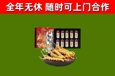 丹东回收冬虫夏草价格